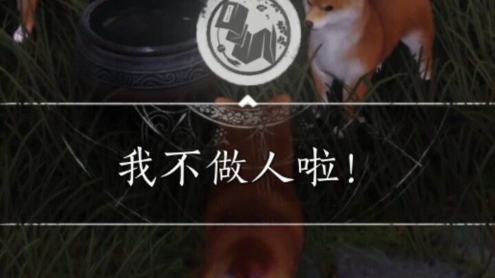 网易是真能整活