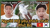 Món ăn người Hàn Quốc yêu thích nhất - Phở Bò (feat. SAPA, Cơm Rang Thịt Gà )