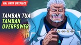 Alasan Mengapa Orang Tua Di One Piece Makin Keren Dan Overpower