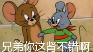 【猫和老鼠】全 能 沙 雕 音 乐 家