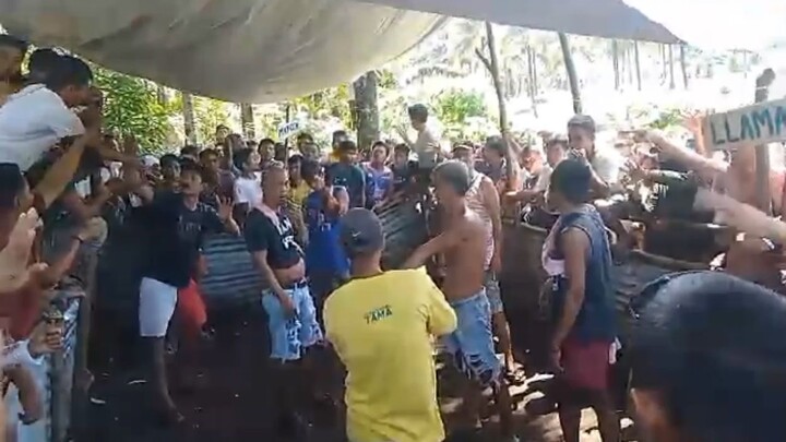 1xwit ogis manadali lang kalaban sabong sa tiwi albay