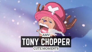 TONY CHOPPER CUTE MOMENTS [AMV]