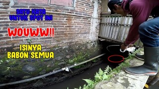 GILAA..!! Selokan Belakang Rumah.. JADI SARANG BABON!!