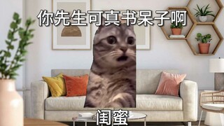 [猫meme全新升级]我和我先生五周年纪念-俩书呆子的爱情!