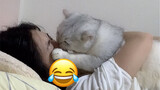 Apa reaksi kucing Anda ketika Anda memeluknya untuk tidur?