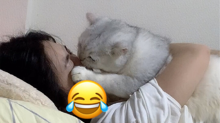 What's your cat's reaction when you cuddle him to sleep?