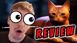Stray Game Review! My HONEST Review Of Stray!