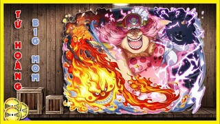 Tứ Hoàng Big Mom Bà Mẹ Thiên Hạ | Hồ Sơ Nhân Vật