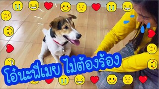 โลกของแสนดี ตอน ใครทำพี่เมยร้องไห้