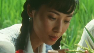 Lao Liu broke the world record by farming, but Yuan Longping angrily roared "The Movie Yuan Longping