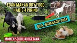 Subhanallah Kucing Ini Makan Bersama Dengan Kambing Di Kuburan endingnya luci banget.!