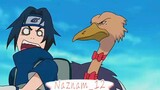 Team 7 My Name Is Chicky🤣