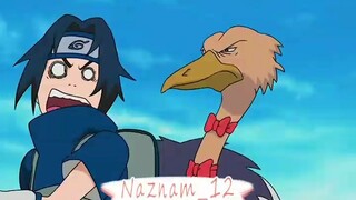 Team 7 My Name Is Chicky🤣