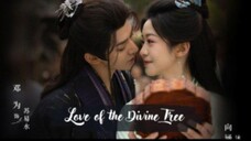 🌺Love.of.the.divine.tree ep22🌺