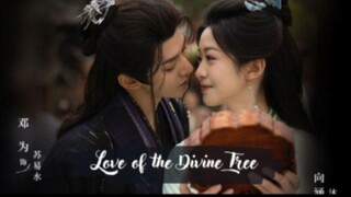 🌺Love.of.the.divine.tree ep22🌺