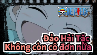 ONE PIECE | 【Nami】 Cảnh Xúc động / Đời em không còn cô đơn nữa