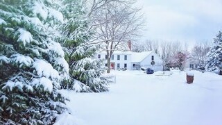 Beautiful Snowfall- Calm, and relaxing with inspired music.  #relax #music