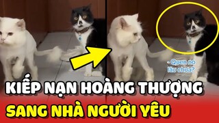 KIẾP NẠN của Hoàng Thượng lần đầu ĐẾN NHÀ NGƯỜI YÊU 😂 | Yêu Lu