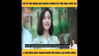 Review Phim: Khi Nuôi Mèo Nhưng Nhà Nghèo Quá Thì Phải Làm Sao || Phim Hay || Love Film