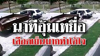 ปฏิบัติการแก็งอุ้มเหยื่อที่เลือดเย็นมาก ทำได้ไง @Awesome Videos