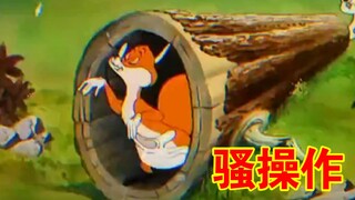 "Fox's sexy operation"