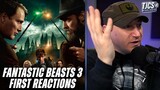 First Reactions For Fantastic Beasts 3 Say It's Franchise's Best