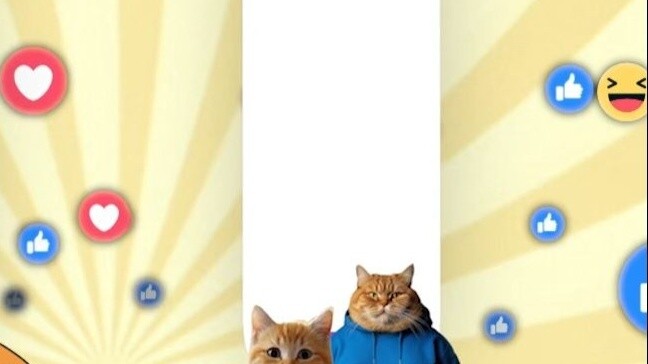 3D cats vs real cats