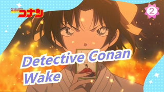 Detective Conan|Take you to feel the charm of Detective Conan with Wake_2