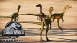Compsognathus || All Skins Showcased - Jurassic World Evolution