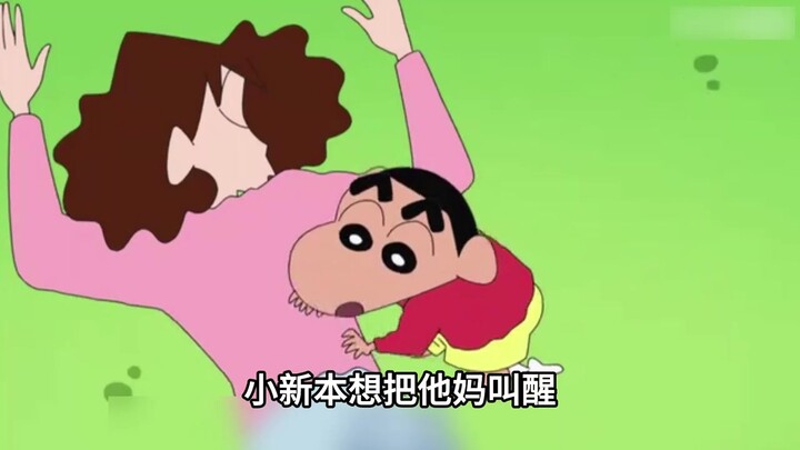 美伢只是睡了个午觉，就意外给五小只当起了模特
