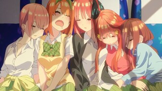 [Anime][The Quintessential Quintuplets/4K] Cinta Pertama