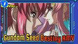 Gundam Seed Destiny - Touching AMV | Kimi wa Boku ni Niteiru_1
