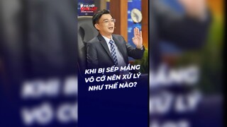 Khi bị sếp mắng vô cơ nên xử lý như thế nào