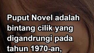 Puput Novel