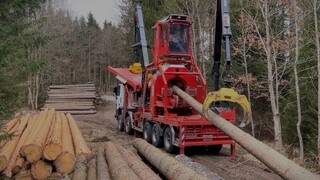 Top Wood Cutting Machines for Efficient and Precise Timber Work