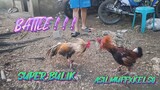 SUPER BULIK VS ASILMUFFXKELSO ( 1X WINNER )    SPAR!!