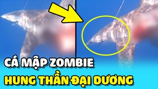 💥Xuất hiện CÁ MẬP ZOMBIE đang SĂN MỒI ở đại dương khiến mọi người sợ hãi | TIN GIẢI TRÍ