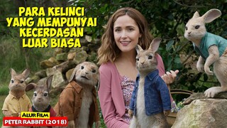 Kisah Para Kelinci Yang Hidup Dengan Kecerdasan Luar Biasa | Alur Cerita Film PETER RABBIT (2018)