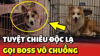 Tuyệt chiêu gọi Boss VÔ CHUỒNG siêu độc lạ của anh Sen 😂 | Yêu Lu