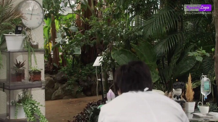 film ultraman trigger episode 1