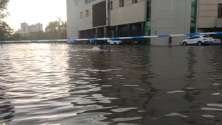 海 南 大 学 暴 雨 现 状