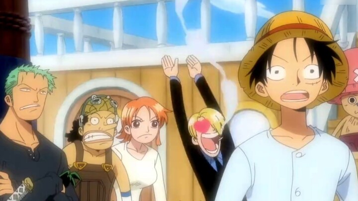 The Straw Hat Pirates have their own unique personalities, and you can tell who they are just by sme