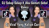 DJ SEKOP SEKOP X AKU GEMATI GEBOL REMIX | DJ RUTINITAS RADONG X SEKOP SEKOP VIRAL TIK TOK 2024 !