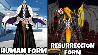 Ang Resurreccion Form or Hollow Form ng mga Gotei 13 Captains Bleach| Thousand Year Blood War Arc