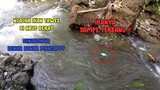 Mancing Ikan Tawes Di Air Deras || Ikan Melawan Sampe TERBANG!!