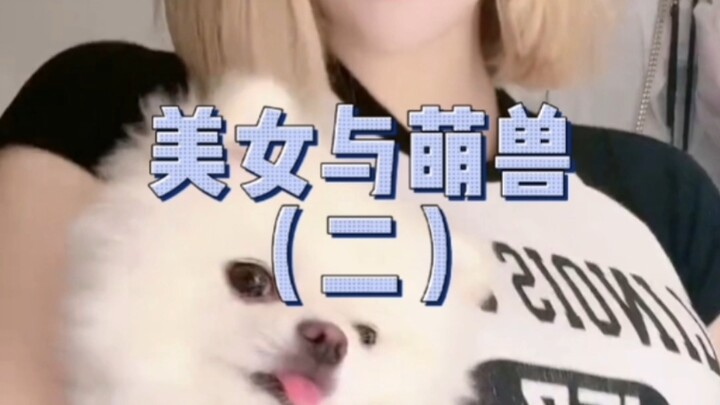 美女与萌宠（二），哪个更能萌化你的心？