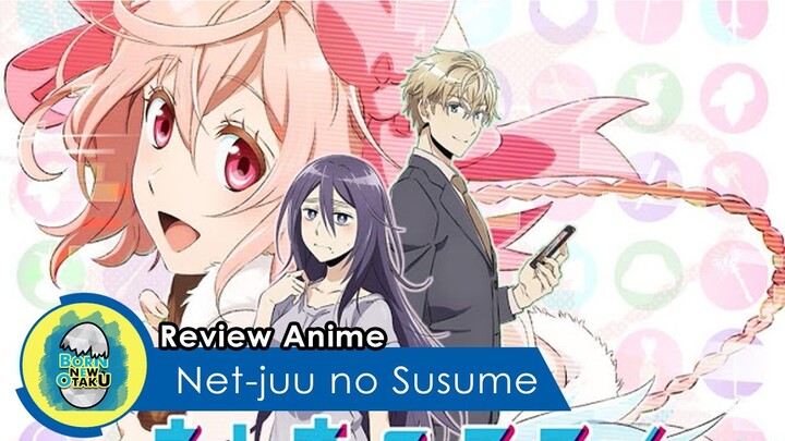 Review Anime I Cinta Hode (Net-juu no Susume)