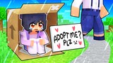 No One ADOPTED Aphmau In Minecraft!