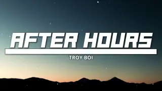 AfterHours - Troy Boi ft. Diplo & Nina Sky (Remix) ♫