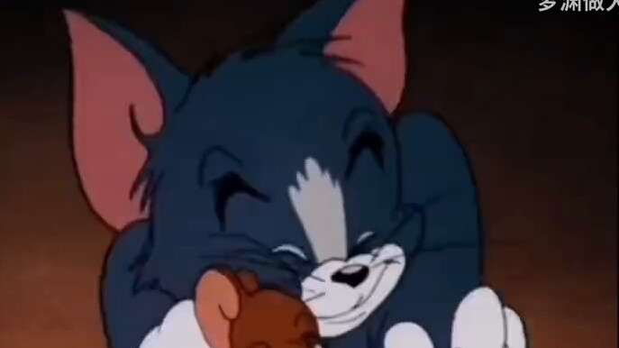 "It seems like he can really fold into a triangle" Recreate the town of love with cat and mouse